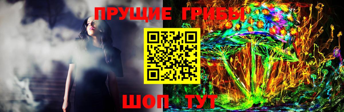 купить наркоту  Галлюциногенные грибы Psilocybine cubensis  Вход с VPN  Волгоград 