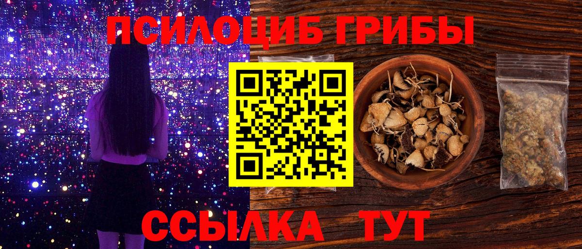 Галлюциногенные грибы прущие грибы Волгоград